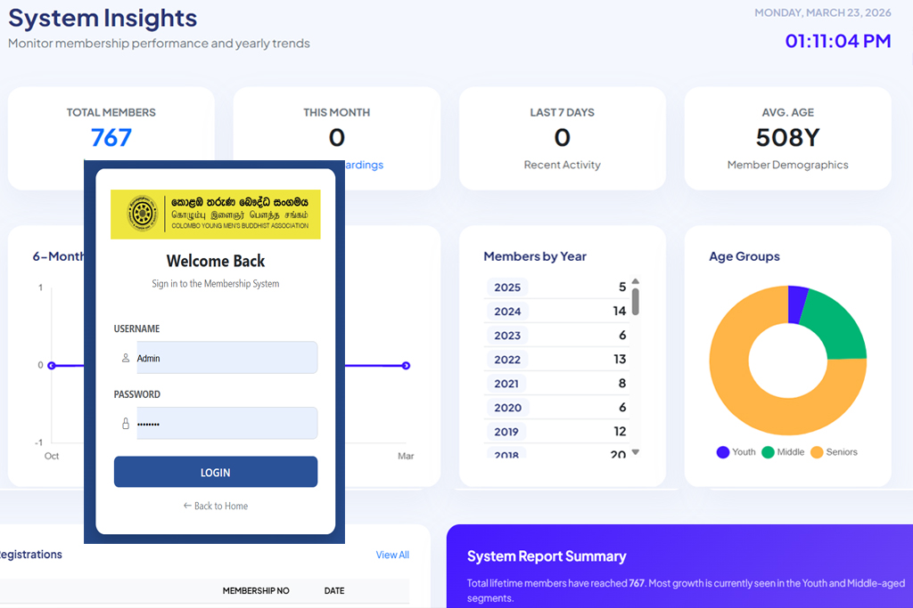 Web Studio Custom Services